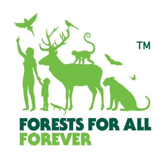 Stöd skogen med Avery FSC®-certifierade produkter