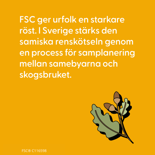 FSC ger urfolk en starkare röst. I Sverige stärks den samiska renskötseln genom en process för samplanering mellan samebyarna och skogsbruket