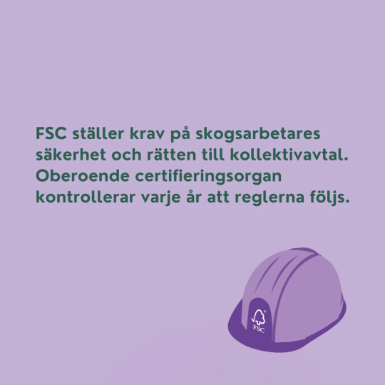 FSC ställer krav på skogsarbetares säkerhet och rätten till kollektivavtal. Oberoende certifieringsorgan kontrollerar varje år att reglerna följs.
