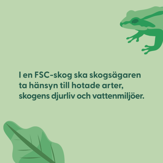 I en FSC-skog ska skogsägaren ta hänsyn till hotade arter, skogens djurliv och vattenmiljöer.