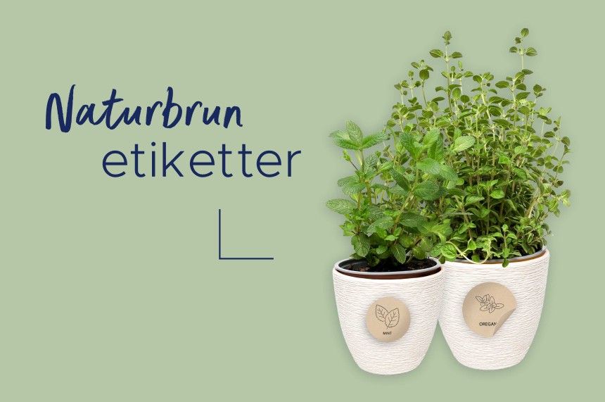 Papper naturbrun trädgården