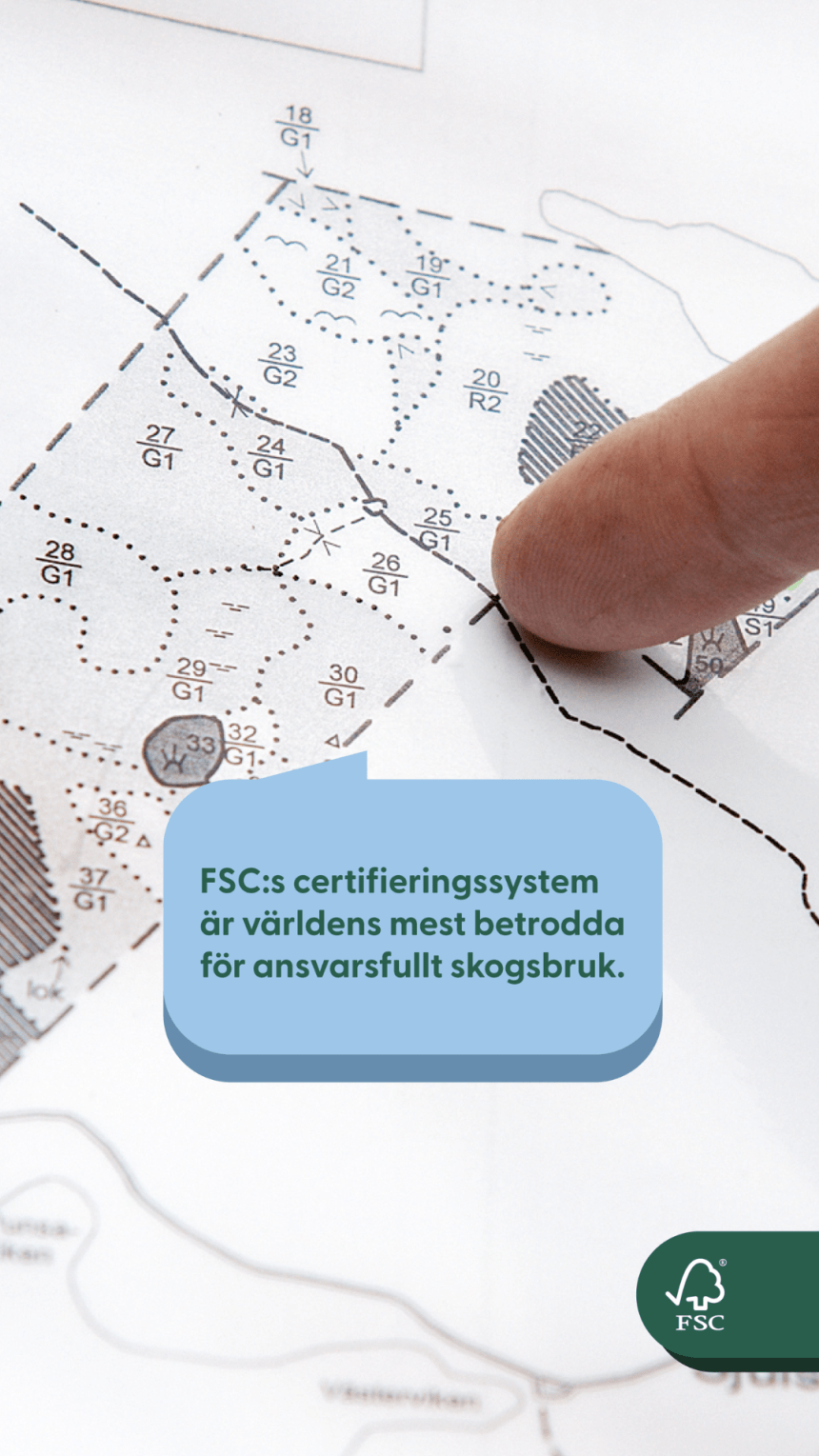 FSC:s certifieringssystem är världens mest betrodda för ansvarsfullt skogsbruk.