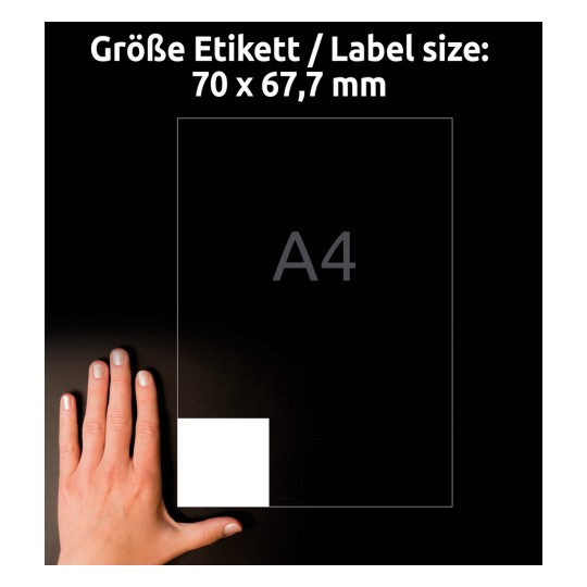 Storleksjämförelse med hand, artikel: 3661, ett ark universaletiketter, format: 70 x 67,7 mm, färg: vit.