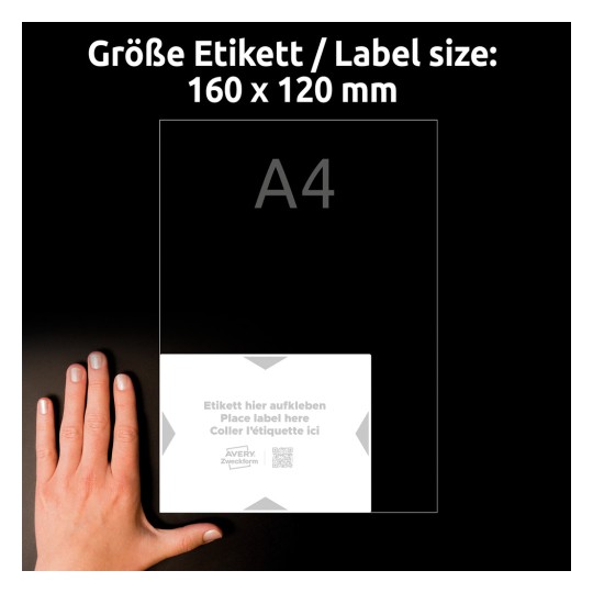 Storleksjämförelse med hand, Artikel: 8002-5, ett ark etikettbärare, Format: 160 x 120 mm, Färg: Vit, Ljusgrå?