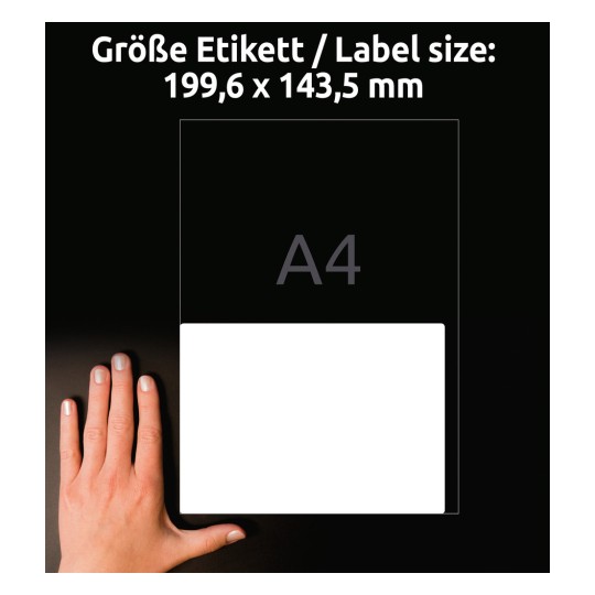 Storleksjämförelse med hand, Artikel: L4734REV-25, ett ark universala etiketter, avtagbara, format: 199,6 x 143,5 mm, färg: vit.