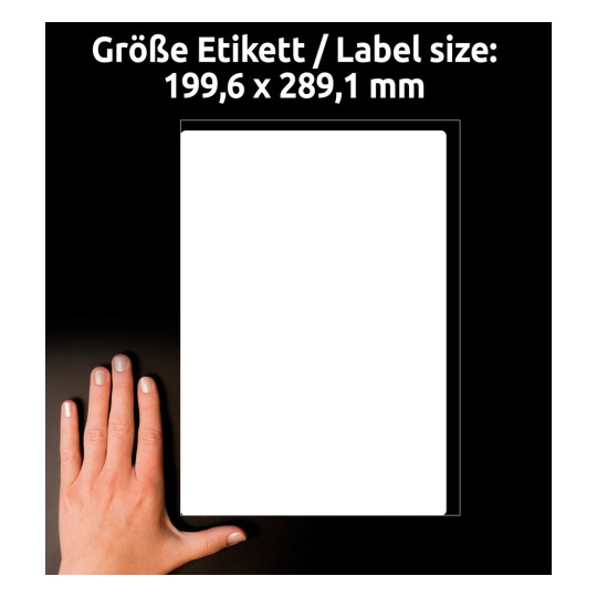 Storleksjämförelse med hand, artikel: L7167-100, ett ark fraktetiketter, format: 199,6 x 289,1 mm, färg: vit.