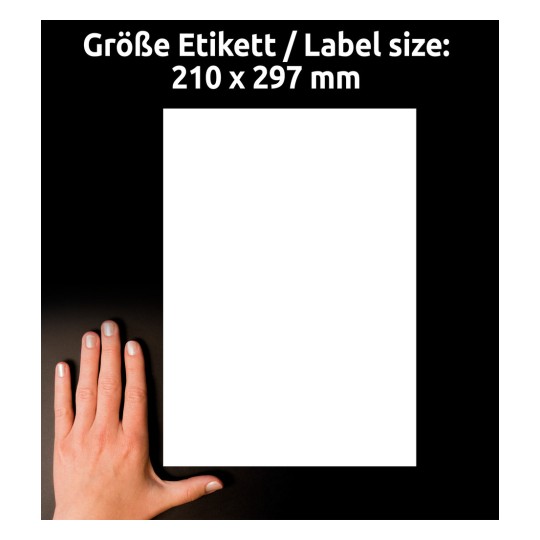 Storleksjämförelse med hand, Artikel: L7767-40, ett ark högblank etiketter, format: 210 x 297 mm, färg: Vit.