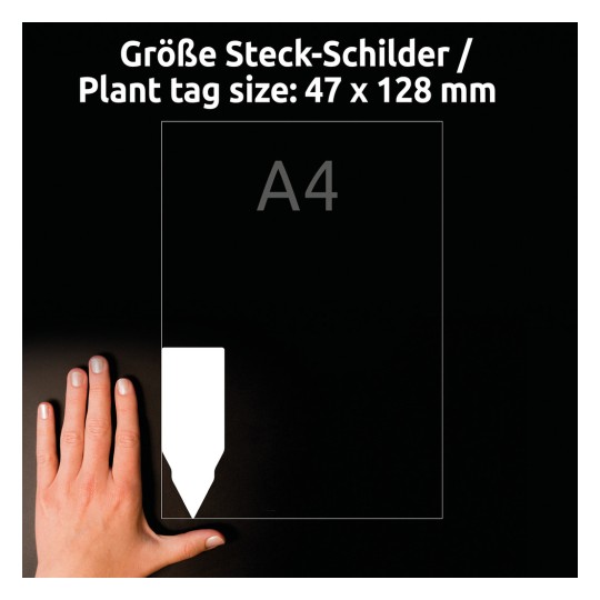 Storleksjämförelse med hand, artikel: T3006-10, ett ark plug-in-skyltar, format: 128 x 47 mm, färg: vit.