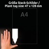 Storleksjämförelse med hand, artikel: T3006-10, ett ark plug-in-skyltar, format: 128 x 47 mm, färg: vit.